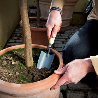 Handtroffel, essenhout 340 mm