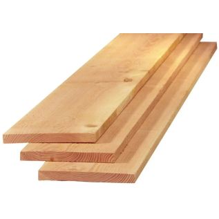Douglas Fijnbezaagd Onbehandeld Antiblauw PEFC 22x200mm